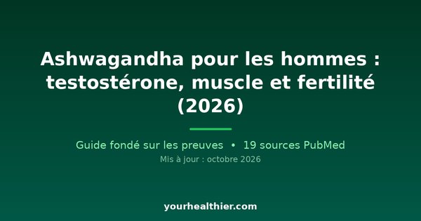 Ashwagandha pour les hommes : testostérone, muscle et fertilité (2026)