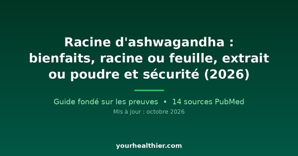 Racine d’ashwagandha : bienfaits, racine ou feuille, extrait ou poudre et sécurité (2026)
