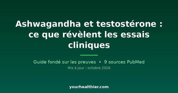 Ashwagandha et testostérone : ce que révèlent les essais cliniques