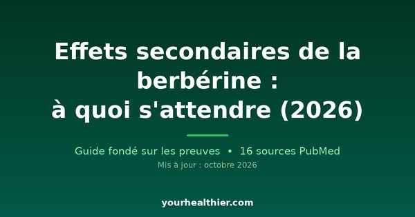 Effets secondaires de la berbérine : à quoi s’attendre (2026)