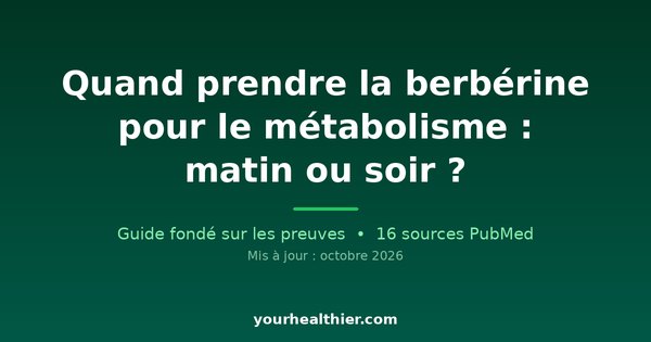 Quand prendre la berbérine pour le métabolisme : matin ou soir ?