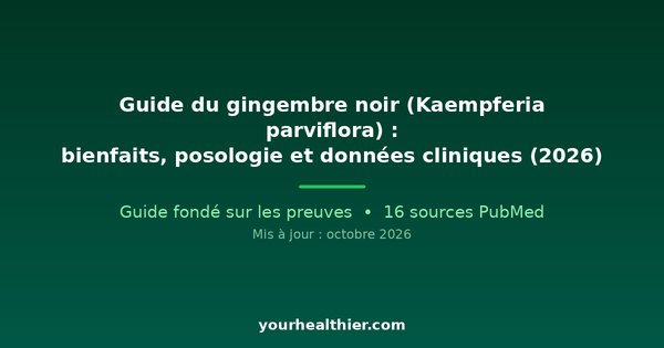 Guide du gingembre noir (Kaempferia parviflora) : bienfaits, posologie et données cliniques (2026)