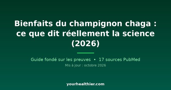 Bienfaits du champignon chaga : ce que dit réellement la science (2026)