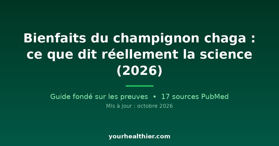 Bienfaits du champignon chaga : ce que dit réellement la science (2026)