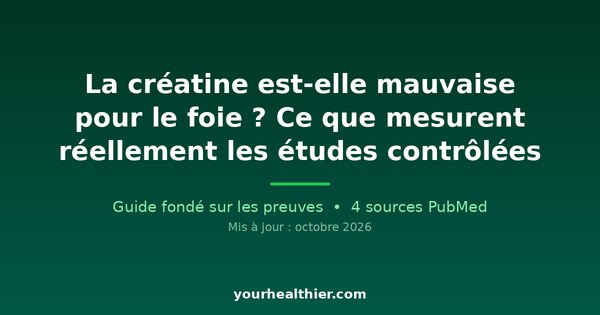 La créatine est-elle mauvaise pour le foie ? Ce que mesurent réellement les études contrôlées