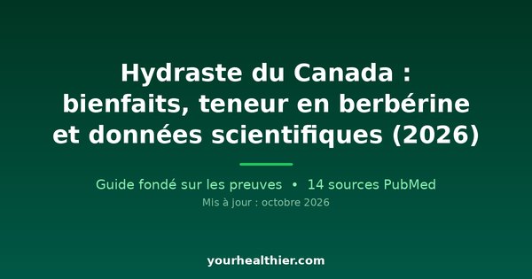 Hydraste du Canada : bienfaits, teneur en berbérine et données scientifiques (2026)