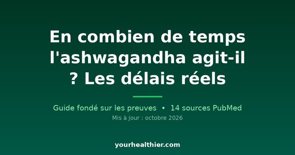 En combien de temps l’ashwagandha agit-il ? Les délais réels