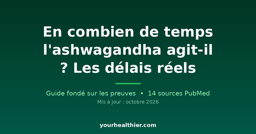 En combien de temps l’ashwagandha agit-il ? Les délais réels