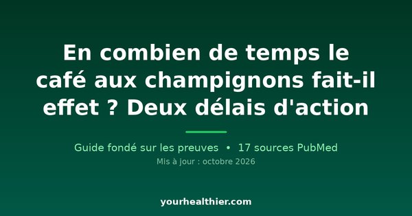 En combien de temps le café aux champignons fait-il effet ? Deux délais d’action