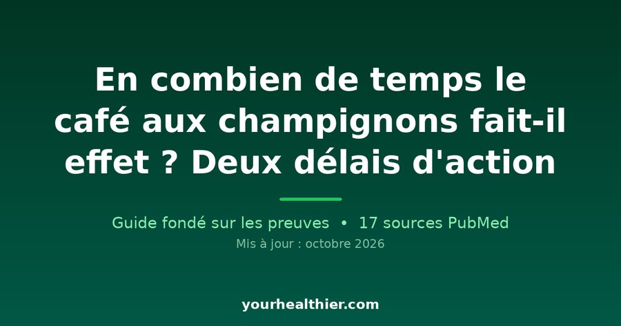 En combien de temps le café aux champignons fait-il effet ? Deux délais d’action