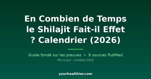 En Combien de Temps le Shilajit Fait-il Effet ? Calendrier (2026)