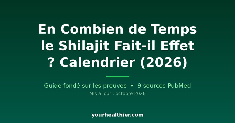 En Combien de Temps le Shilajit Fait-il Effet ? Calendrier (2026)