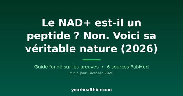 Le NAD+ est-il un peptide ? Non. Voici sa véritable nature (2026)