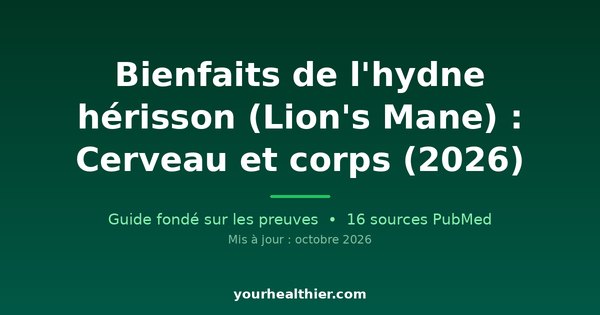 Bienfaits de l’hydne hérisson (Lion’s Mane) : Cerveau et corps (2026)