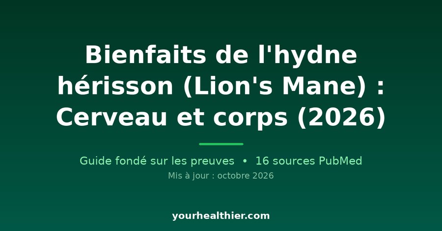 Bienfaits de l’hydne hérisson (Lion’s Mane) : Cerveau et corps (2026)