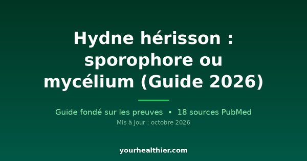 Hydne hérisson : sporophore ou mycélium (Guide 2026)