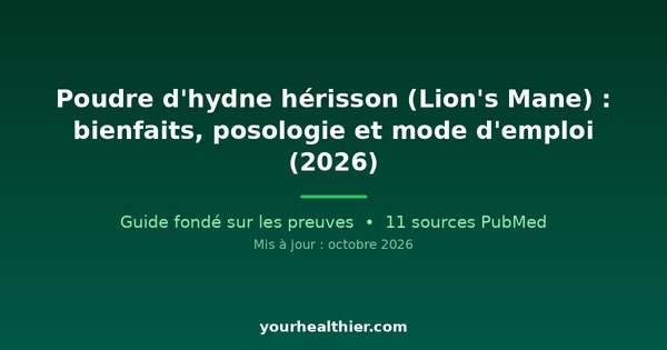 Poudre d’hydne hérisson (Lion’s Mane) : bienfaits, posologie et mode d’emploi (2026)