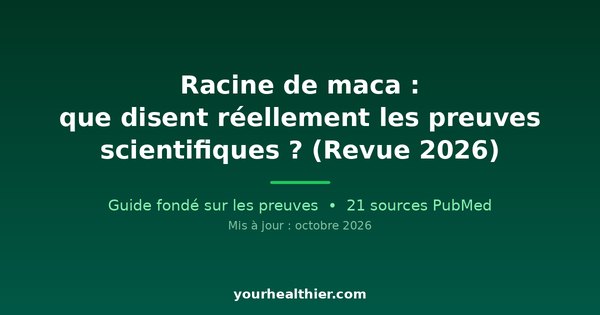 Racine de maca : que disent réellement les preuves scientifiques ? (Revue 2026)