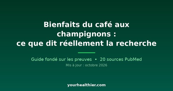 Bienfaits du café aux champignons : ce que dit réellement la recherche