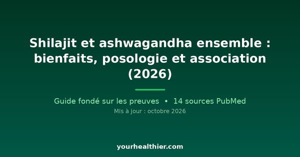 Shilajit et ashwagandha ensemble : bienfaits, posologie et association (2026)
