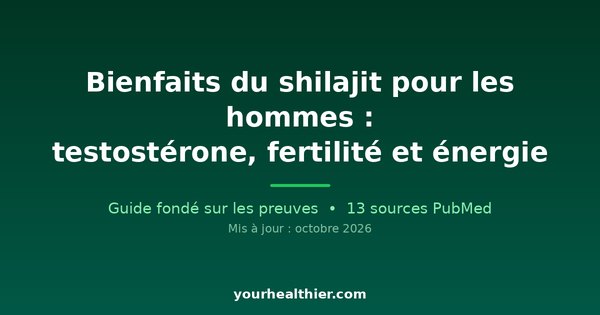 Bienfaits du shilajit pour les hommes : testostérone, fertilité et énergie