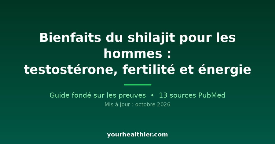 Bienfaits du shilajit pour les hommes : testostérone, fertilité et énergie
