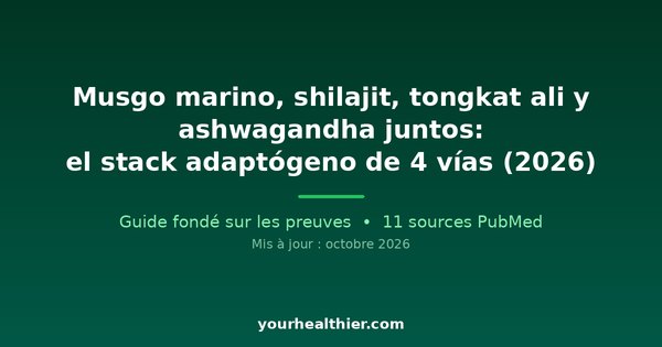 Musgo marino, shilajit, tongkat ali y ashwagandha juntos: el stack adaptógeno de 4 vías (2026)