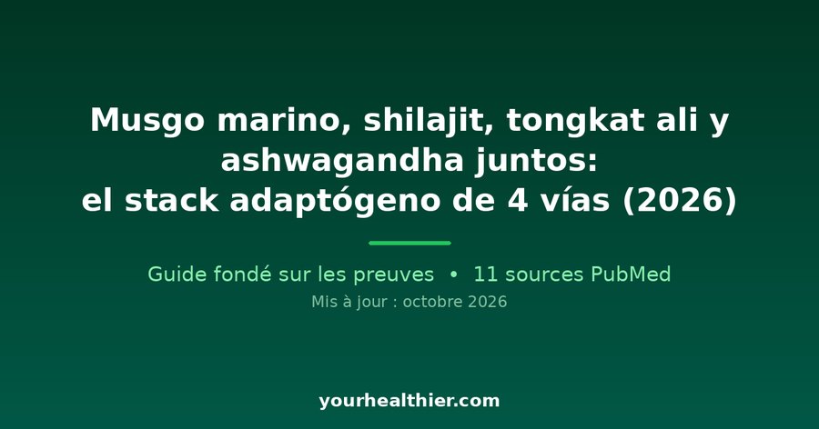 Musgo marino, shilajit, tongkat ali y ashwagandha juntos: el stack adaptógeno de 4 vías (2026)