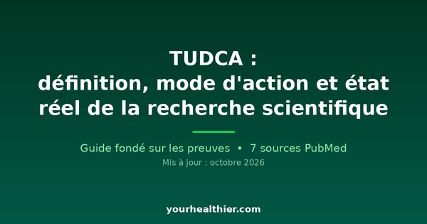 TUDCA : définition, mode d’action et état réel de la recherche scientifique