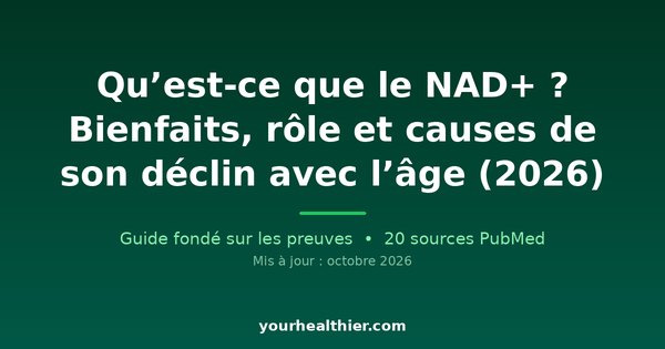 Qu’est-ce que le NAD+ ? Bienfaits, rôle et causes de son déclin avec l’âge (2026)